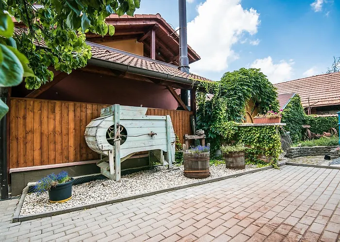 게스트하우스 Penzion Hluk Hluk