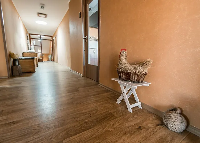 게스트하우스 Penzion Hluk Hluk