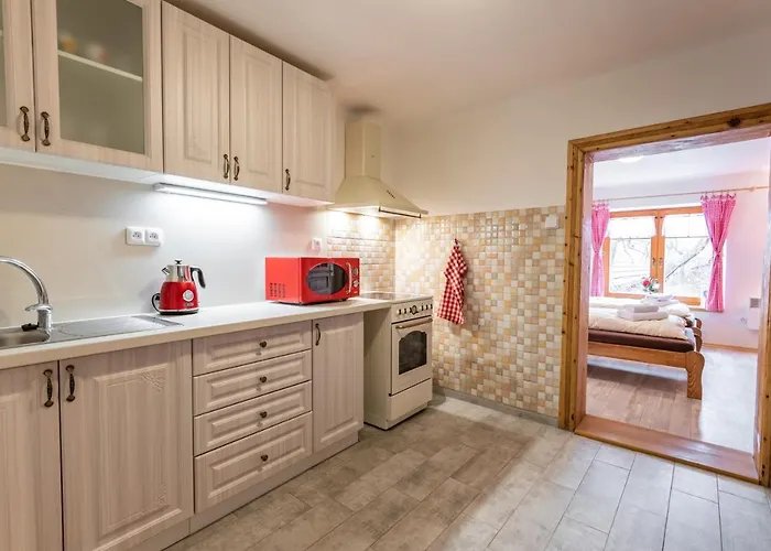 게스트하우스 Penzion Hluk 3*